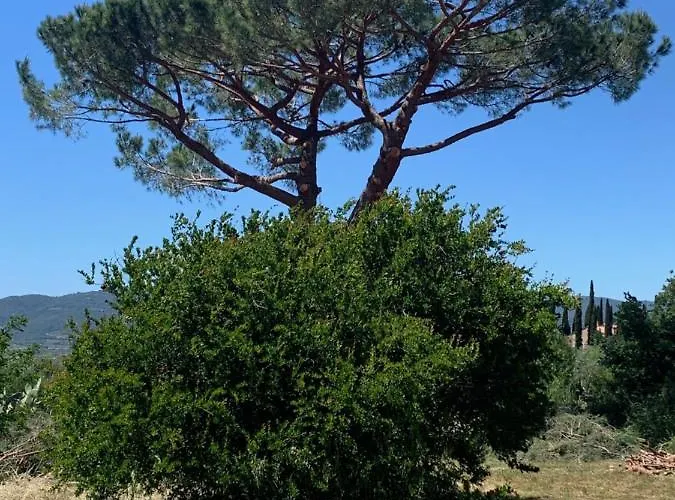 Farma Operaviva *