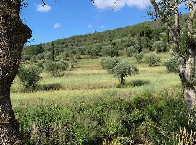Farma Operaviva *